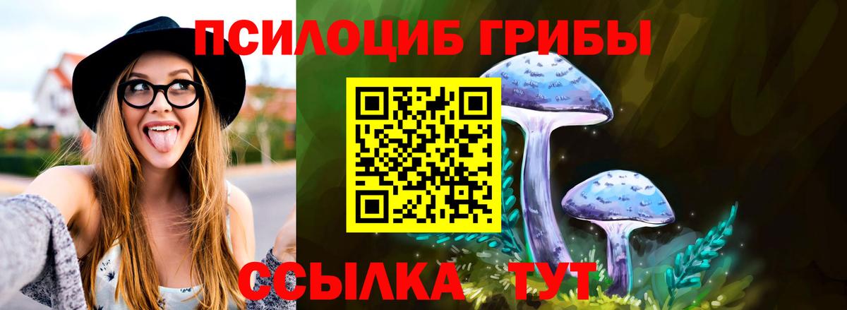 Псилоцибиновые грибы MAGIC MUSHROOMS Усть-Илимск